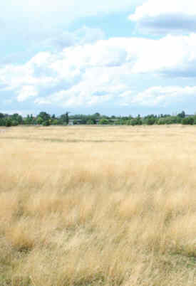 Landschaftspark im Sommer Landschaftspark im Sommer
