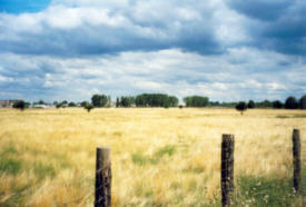 Naturschutz in der Stadt Naturschutz in der Stadt
